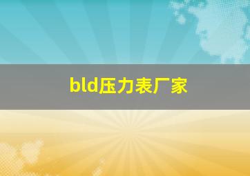 bld压力表厂家