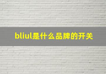 bliul是什么品牌的开关