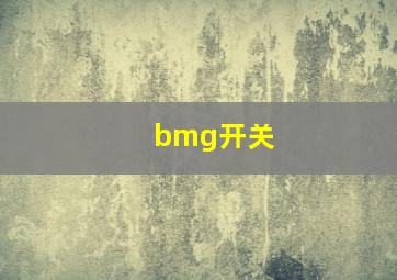 bmg开关