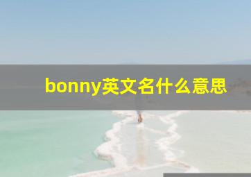 bonny英文名什么意思