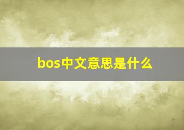 bos中文意思是什么