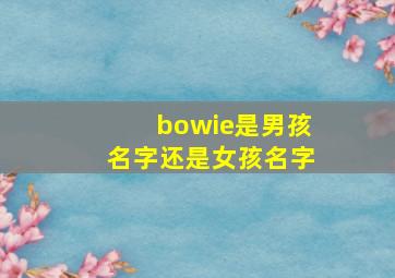 bowie是男孩名字还是女孩名字