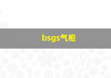 bsgs气柜