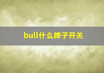 bull什么牌子开关