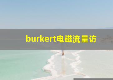 burkert电磁流量访