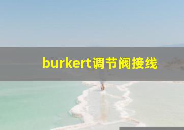 burkert调节阀接线