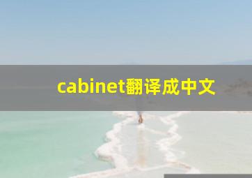 cabinet翻译成中文