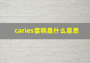 caries音响是什么意思