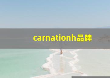 carnationh品牌