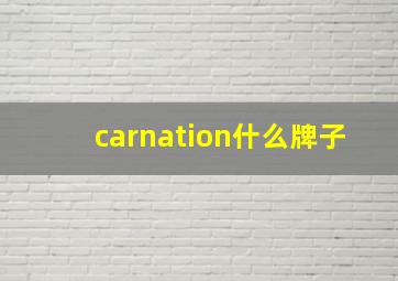 carnation什么牌子