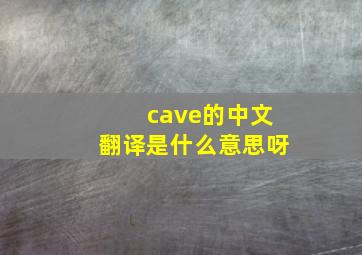 cave的中文翻译是什么意思呀