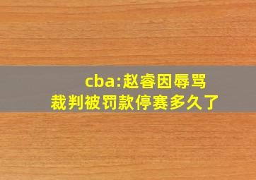 cba:赵睿因辱骂裁判被罚款停赛多久了