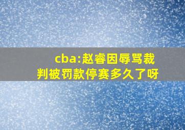 cba:赵睿因辱骂裁判被罚款停赛多久了呀