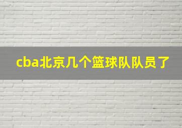 cba北京几个篮球队队员了