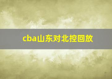 cba山东对北控回放