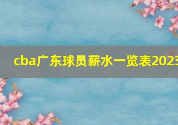 cba广东球员薪水一览表2023