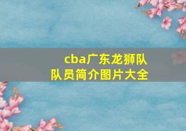 cba广东龙狮队队员简介图片大全