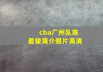 cba广州队陈盈骏简介图片高清