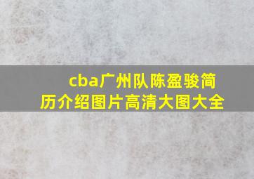 cba广州队陈盈骏简历介绍图片高清大图大全