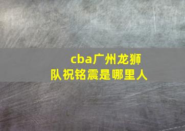 cba广州龙狮队祝铭震是哪里人