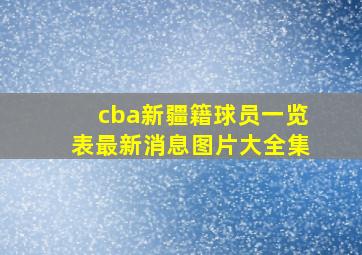 cba新疆籍球员一览表最新消息图片大全集