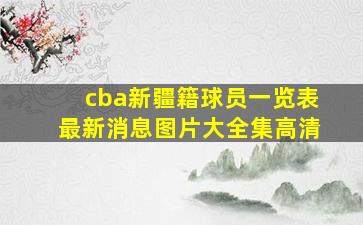 cba新疆籍球员一览表最新消息图片大全集高清