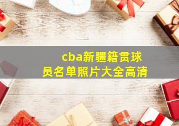 cba新疆籍贯球员名单照片大全高清