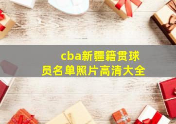 cba新疆籍贯球员名单照片高清大全