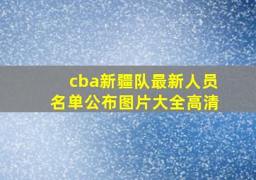 cba新疆队最新人员名单公布图片大全高清