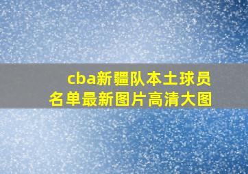 cba新疆队本土球员名单最新图片高清大图