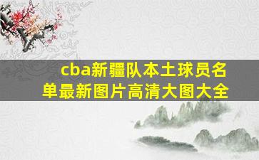 cba新疆队本土球员名单最新图片高清大图大全