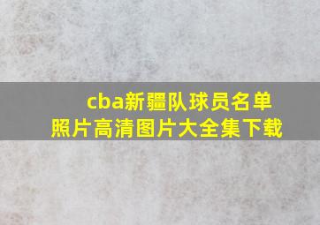 cba新疆队球员名单照片高清图片大全集下载