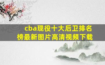 cba现役十大后卫排名榜最新图片高清视频下载