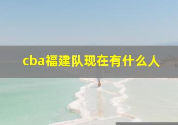 cba福建队现在有什么人