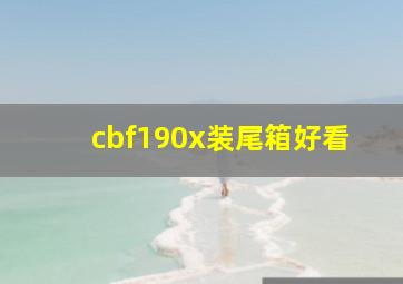 cbf190x装尾箱好看