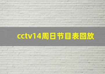 cctv14周日节目表回放