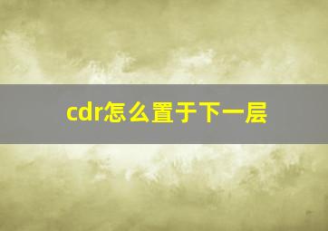 cdr怎么置于下一层