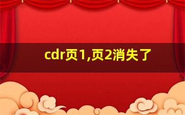 cdr页1,页2消失了