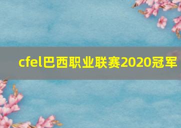 cfel巴西职业联赛2020冠军