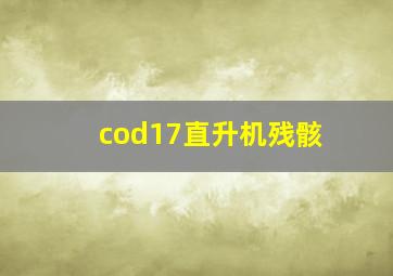 cod17直升机残骸