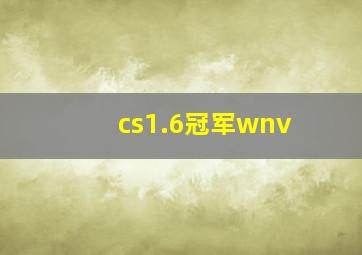 cs1.6冠军wnv