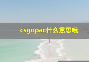 csgopac什么意思哦