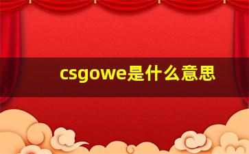 csgowe是什么意思