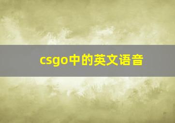 csgo中的英文语音