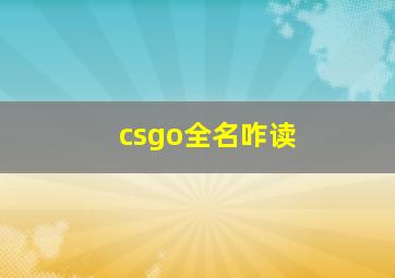 csgo全名咋读