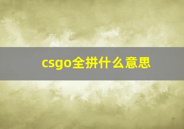 csgo全拼什么意思