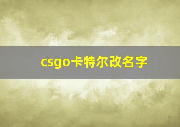 csgo卡特尔改名字