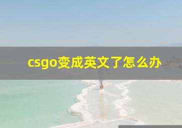 csgo变成英文了怎么办