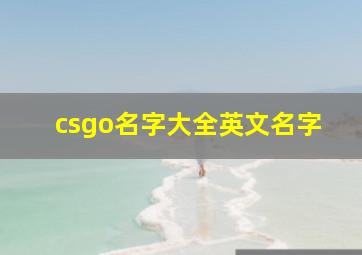 csgo名字大全英文名字