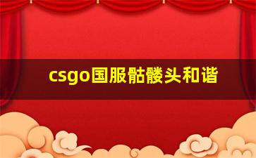 csgo国服骷髅头和谐